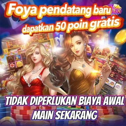 3NN 3NN
